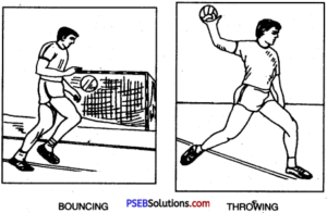 Handball Game Rules – PSEB 10th Class Physical Education – PSEB Solutions