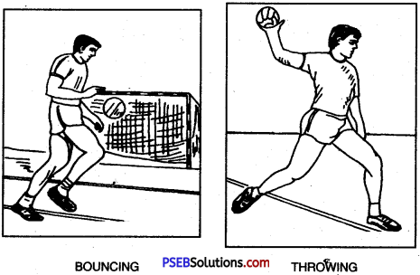 Handball image 5