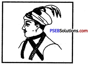 PSEB 8th Class Social Science Solutions Chapter 10 The Establishment of East India Company 1