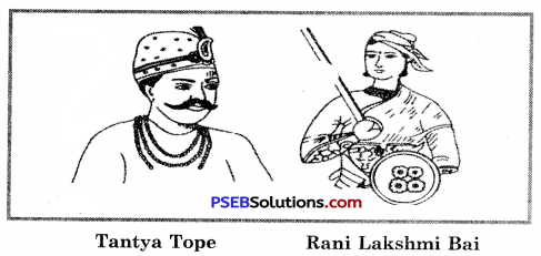 PSEB 8th Class Social Science Solutions Chapter 15 The Revolt of 1857 6