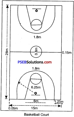 Basketball image 1