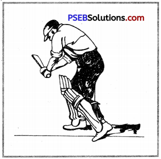 PSEB 12th Class Physical Education Practical Cricket 10