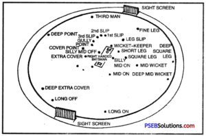 PSEB 12th Class Physical Education Practical Cricket 4