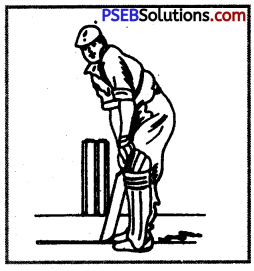 PSEB 12th Class Physical Education Practical Cricket 5