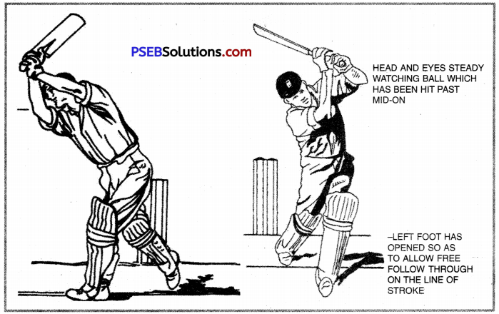 PSEB 12th Class Physical Education Practical Cricket 9