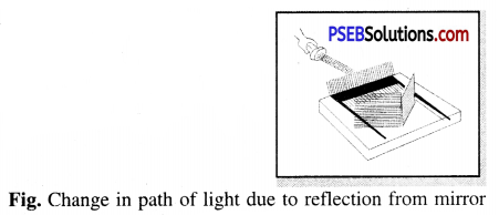 PSEB 6th Class Science Solutions Chapter 11 Light Shadows and Reflections 10