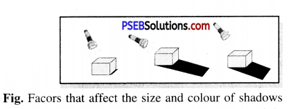 PSEB 6th Class Science Solutions Chapter 11 Light Shadows and Reflections 11