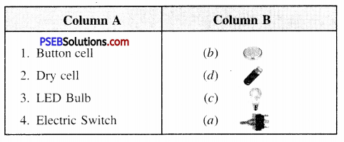 PSEB 6th Class Science Solutions Chapter 12 Electricity and Circuits 2