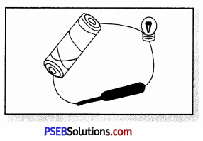 PSEB 6th Class Science Solutions Chapter 12 Electricity and Circuits 5