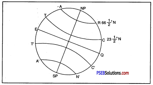 PSEB 6th Class Social Science Solutions Chapter 2 Globe - The Model of the Earth 2