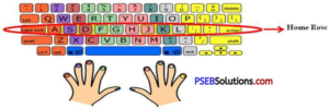 PSEB 7th Class Computer Solutions Chapter 1 Typing Tutor – PSEB Solutions