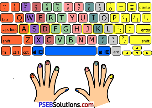 PSEB 7th Class Computer Solutions Chapter 1 Typing Tutor 10