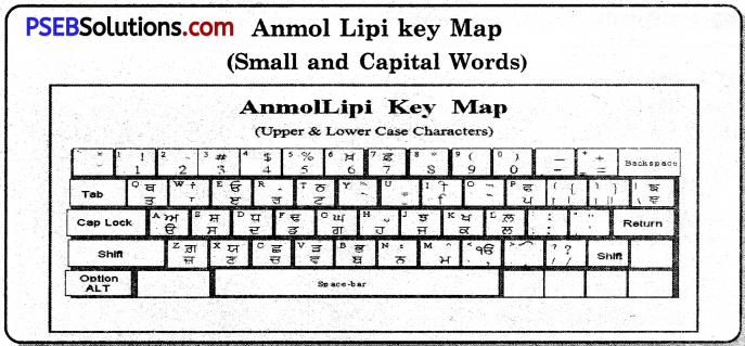 PSEB 7th Class Computer Solutions Chapter 1 Typing Tutor 3