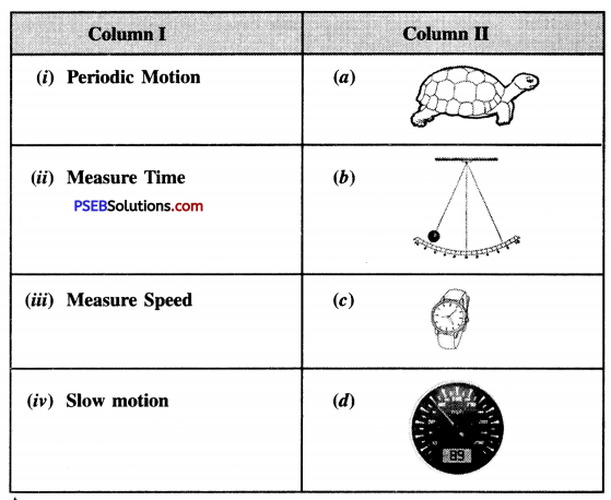 PSEB 7th Class Science Solutions Chapter 13 Motion and Time 1