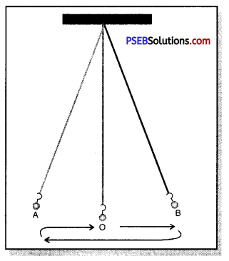 PSEB 7th Class Science Solutions Chapter 13 Motion and Time 20