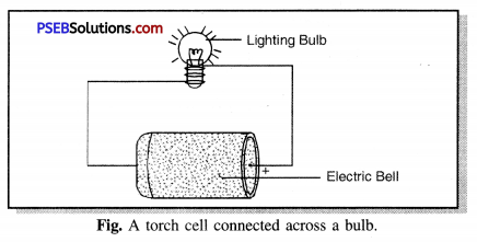 PSEB 7th Class Science Solutions Chapter 14 Electric Current and Its Effects 8