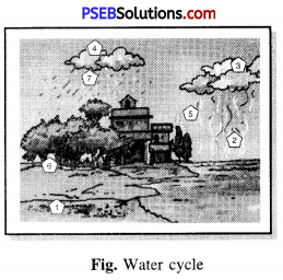 PSEB 7th Class Science Solutions Chapter 16 Water A Precious Resource 1
