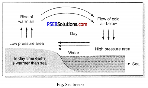 PSEB 7th Class Science Solutions Chapter 7 Weather, Climate and Adaptations of Animals to Climate 1