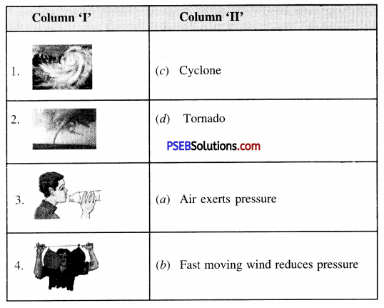 PSEB 7th Class Science Solutions Chapter 8 Winds, Storms and Cyclones 2