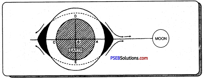 PSEB 7th Class Social Science Solutions Chapter 4 Ocean 5