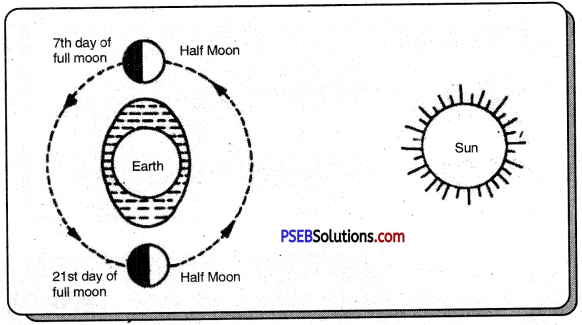 PSEB 7th Class Social Science Solutions Chapter 4 Ocean 8