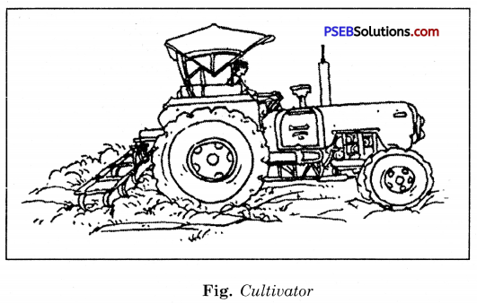 PSEB 8th Class Science Solutions Chapter 1 Crop Production and Management 21