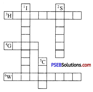 PSEB 8th Class Science Solutions Chapter 1 Crop Production and Management 6