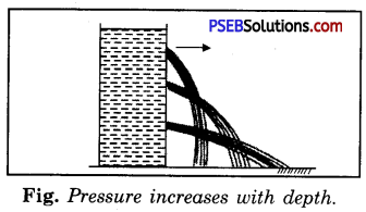PSEB 8th Class Science Solutions Chapter 11 Force and Pressure 2