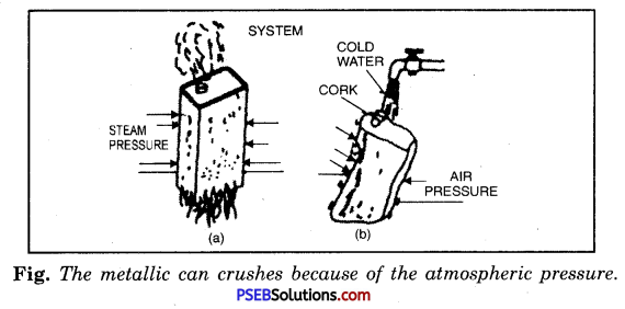 PSEB 8th Class Science Solutions Chapter 11 Force and Pressure 5