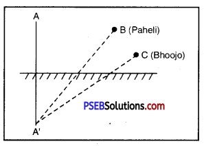 PSEB 8th Class Science Solutions Chapter 16 Light 11