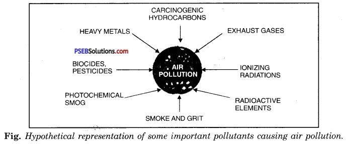 PSEB 8th Class Science Solutions Chapter 18 Pollution of Air and Water 1