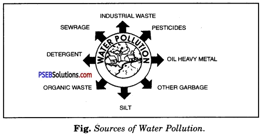 PSEB 8th Class Science Solutions Chapter 18 Pollution of Air and Water 2