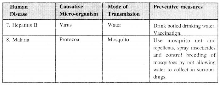 PSEB 8th Class Science Solutions Chapter 2 Microorganisms Friend and Foe 13