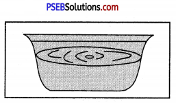 PSEB 8th Class Science Solutions Chapter 2 Microorganisms Friend and Foe 8