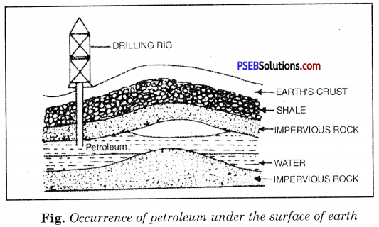 PSEB 8th Class Science Solutions Chapter 5 Coal and Petroleum 2