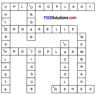 PSEB 8th Class Science Solutions Chapter 8 Cell Structure and Functions 5