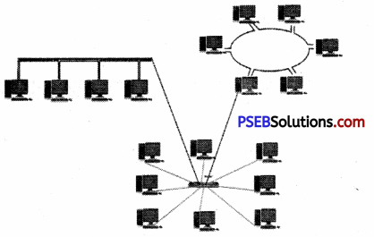 PSEB 9th Class Computer Notes Chapter 3 Networking Notes 12
