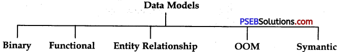 PSEB 9th Class Computer Notes Chapter 4 Introduction to DBMS 4