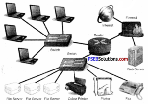 PSEB 9th Class Computer Solutions Chapter 3 Networking – PSEB Solutions