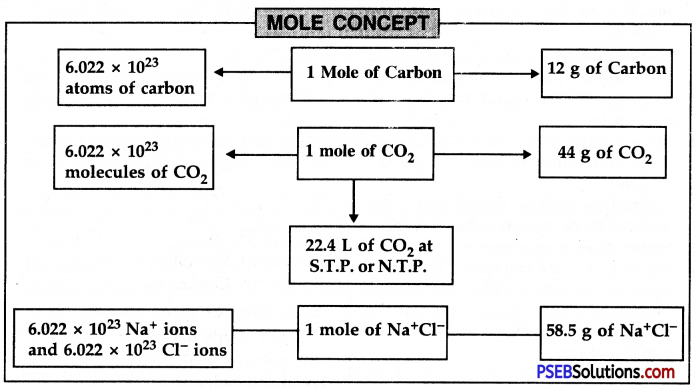 PSEB 9th Class Science Solutions Chapter 3 Atoms and Molecules 7
