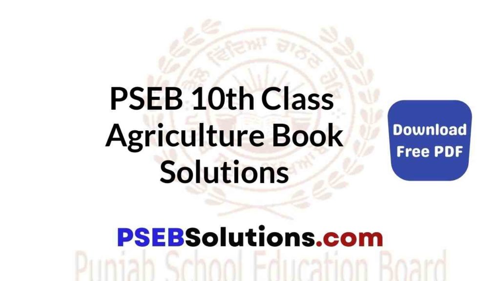 class 10 punjabi grammar book pseb solutions