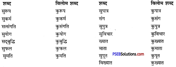 PSEB 10th Class Hindi Vyakaran विलोम शब्द 7