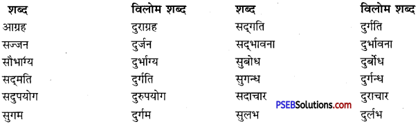 PSEB 10th Class Hindi Vyakaran विलोम शब्द 8