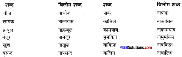 PSEB 10th Class Hindi Vyakaran विलोम शब्द 9