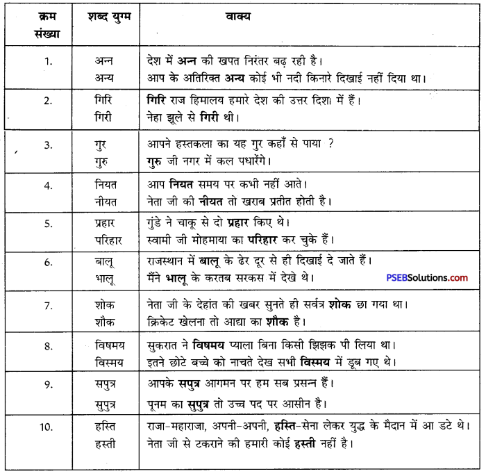 PSEB 10th Class Hindi Vyakaran समरूपी भिन्नार्थक शब्द 2
