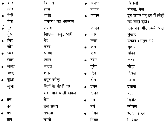 PSEB 10th Class Hindi Vyakaran समरूपी भिन्नार्थक शब्द 6