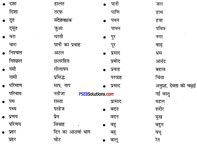 PSEB 10th Class Hindi Vyakaran समरूपी भिन्नार्थक शब्द 7