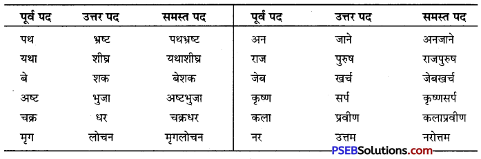 PSEB 10th Class Hindi Vyakaran समास 2