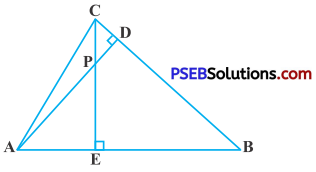 PSEB 10th Class Maths Solutions Chapter 6 Triangles Ex 6.3 13