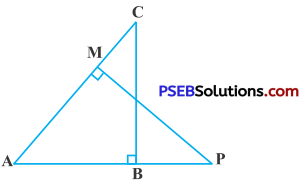 PSEB 10th Class Maths Solutions Chapter 6 Triangles Ex 6.3 15